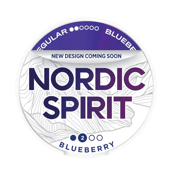 Nordic Spirit Blueberry Nicotine Pouches - Mt Nic Pouch